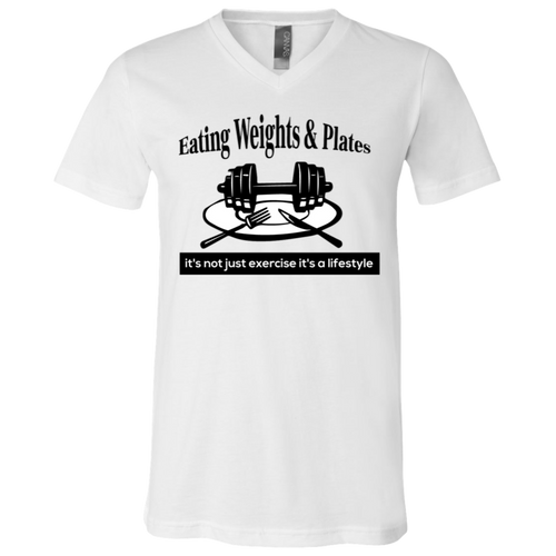 3005 Bella + Canvas Unisex Jersey SS V-Neck T-Shirt