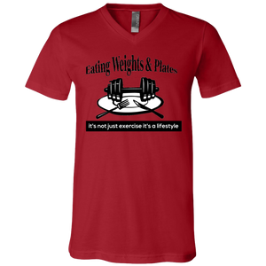 3005 Bella + Canvas Unisex Jersey SS V-Neck T-Shirt